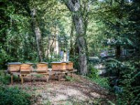 2016-Loire-49-5613 : Chateaux, Clos Luce, Frankrijk, Leonardo da Vinci, Loire