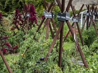 2016-Loire-25-5402 : Chateaux, Frankrijk, La Bourdaisiere, Loire