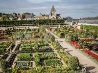 2016-Loire-20-5671 : Chateaux, Frankrijk, Loire, Vilandry