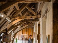 2016-Loire-35-5704 : Chateaux, Frankrijk, Loire, Vilandry
