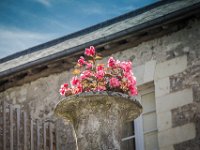 2016-Loire-60-5758 : Chateaux, Frankrijk, Loire, Vilandry