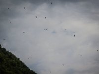 2015-Cornino-4-1738 : Friuli, Gieren, Italie, Lago di Cornino