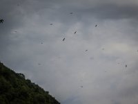 2015-Cornino-5-1739 : Friuli, Gieren, Italie, Lago di Cornino
