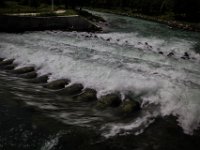 2015-Traghasis-4-1793 : Fiume Tagliamento, Friuli, Italie, Trasaghis