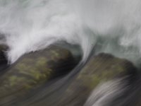 2015-Traghasis-5-1794 : Fiume Tagliamento, Friuli, Italie, Trasaghis