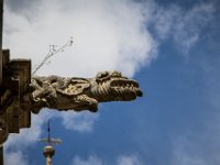Asturias-2979