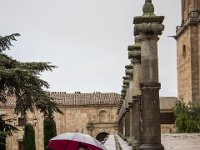 Salamanca-Segovia-3295