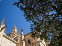 Salamanca-Segovia-3559