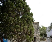 20240520-Begur-04
