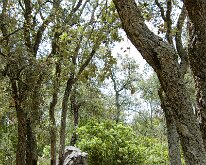 20240517-Begur-00