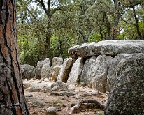 20240517-Begur-05