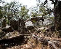 20240517-Begur-06