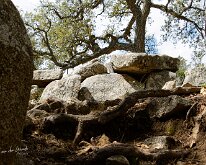 20240517-Begur-08