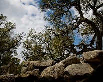 20240517-Begur-09