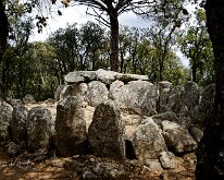20240517-Begur-15