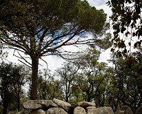 20240517-Begur-16