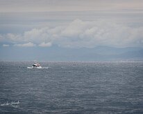 20240524-Begur-06