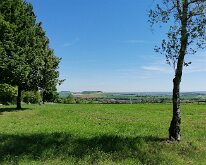 IMG_20240510_120813