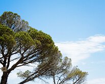 20240517-Begur-02