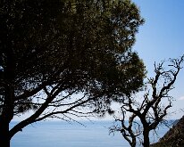 20240517-Begur-04