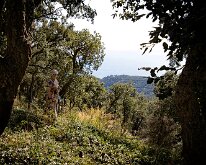 20241004-Begur-00