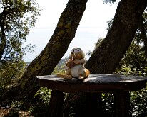 20241004-Begur-02