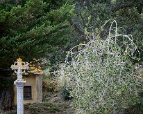 20241004-Begur-15