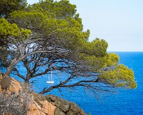 20240930-Begur-02