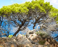 20240930-Begur-04