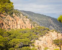 20240930-Begur-06