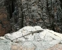 20240930-Spanje-13