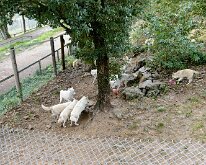 20240927-Begur-10