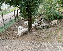 20240927-Begur-11
