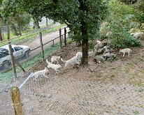 20240927-Begur-12