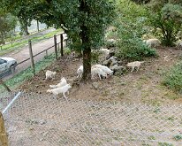 20240927-Begur-13