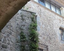 IMG_2764