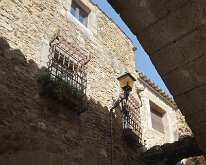 IMG_2765