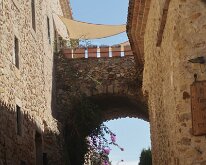 IMG_2771