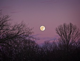2019 01 20 Marienwaardt C