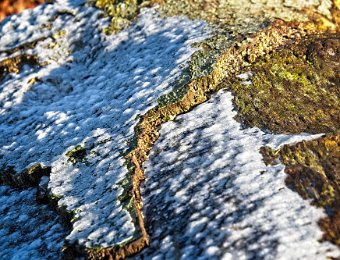 2019 01 20 Marienwaardt