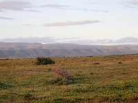 Duplicate Addo Panorama2 : Addo Elephant Park