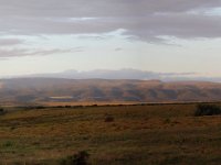 Duplicate Addo Panorama3 : Addo Elephant Park