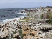 Duplicate  MG 4781 : Betty's Bay, Dassie