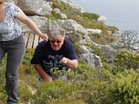 Duplicate  MG 6233 : Cape of Good Hope