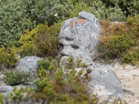 Duplicate  MG 6234 : Cape of Good Hope