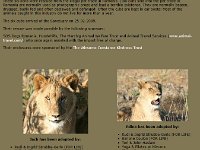Duplicate Jack en Edina : Lions, Zuid-Afrika