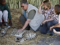 Duplicate  MG 6282 : Cheetah, Somerset West