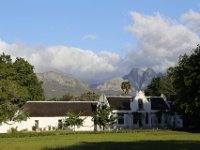 Duplicate  MG 6357 : Stellenbosch