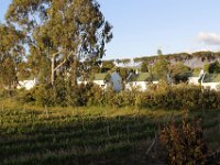 Duplicate  MG 6376 : Stellenbosch