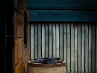 2016-Zuiderzeemuseum-112-5988 : Nederland, Zuiderzeemuseum